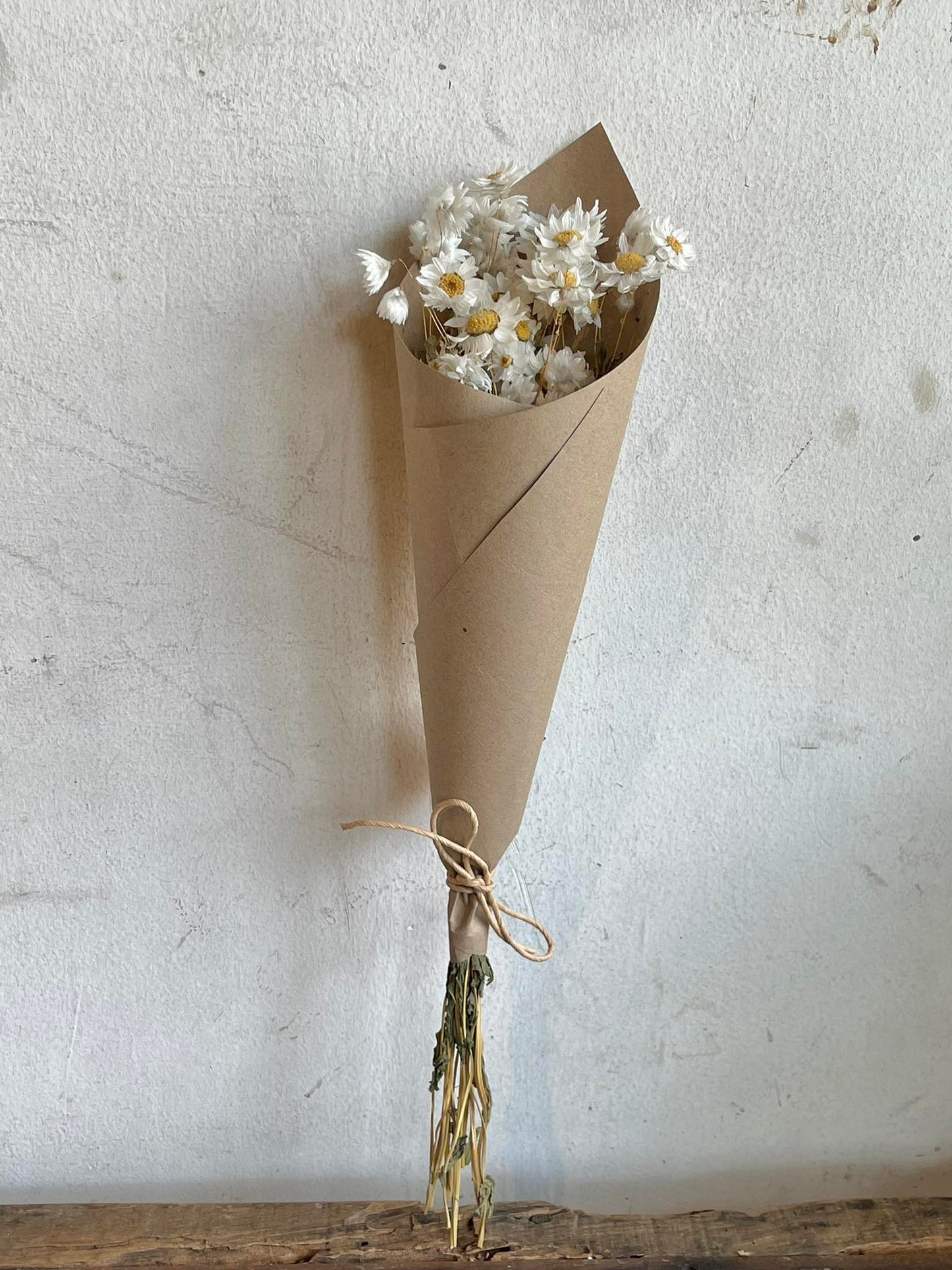 Dried Daisies