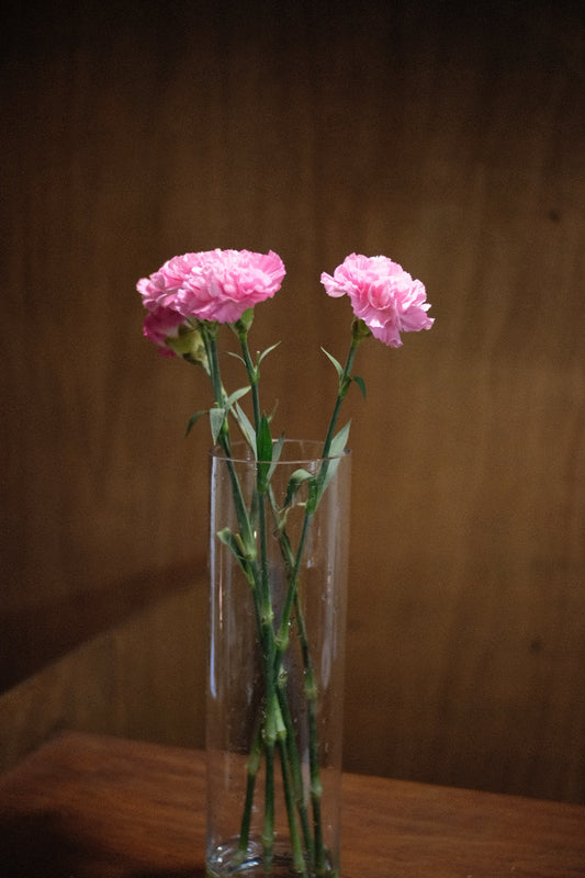 Carnations