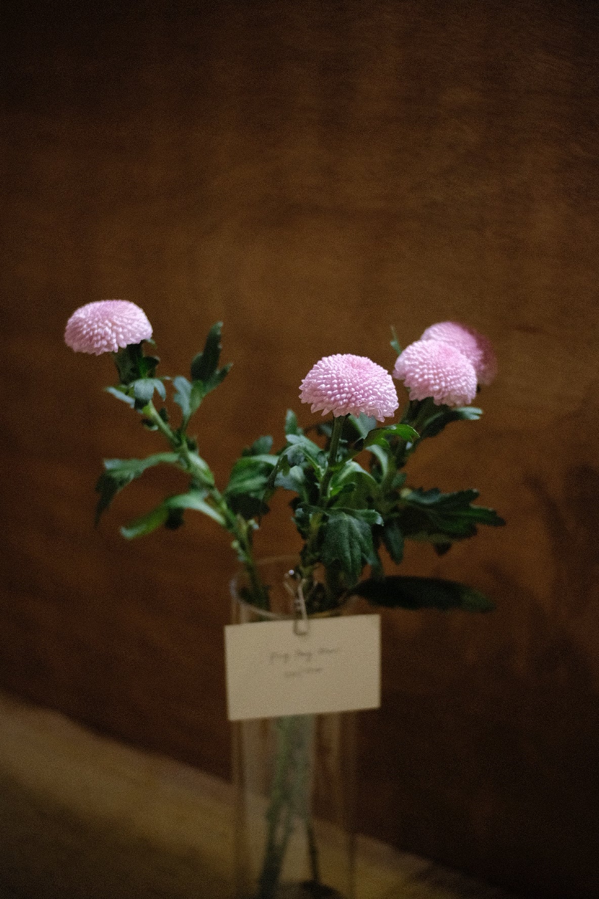 Ping Pong Mums