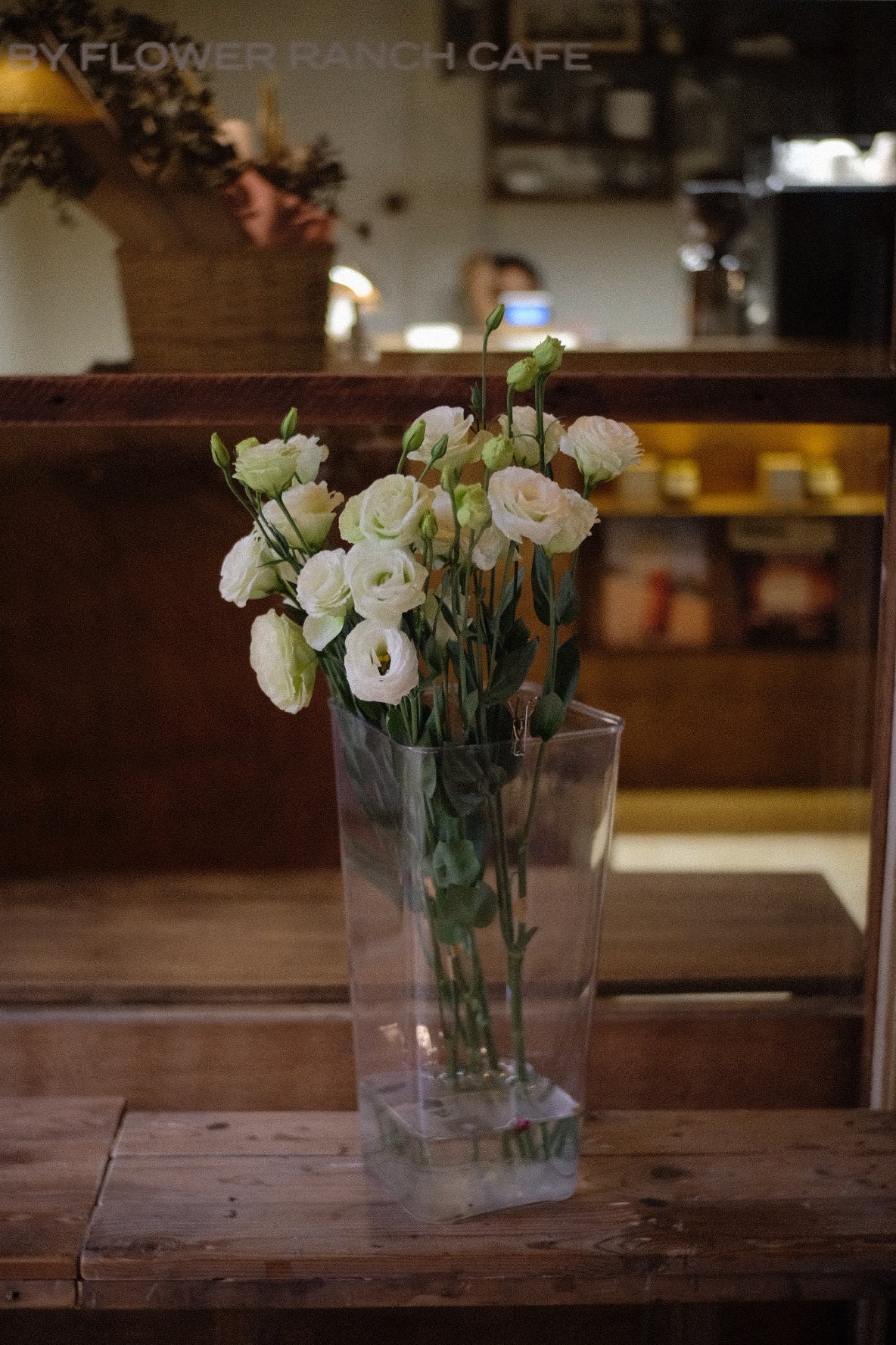 Lisianthus