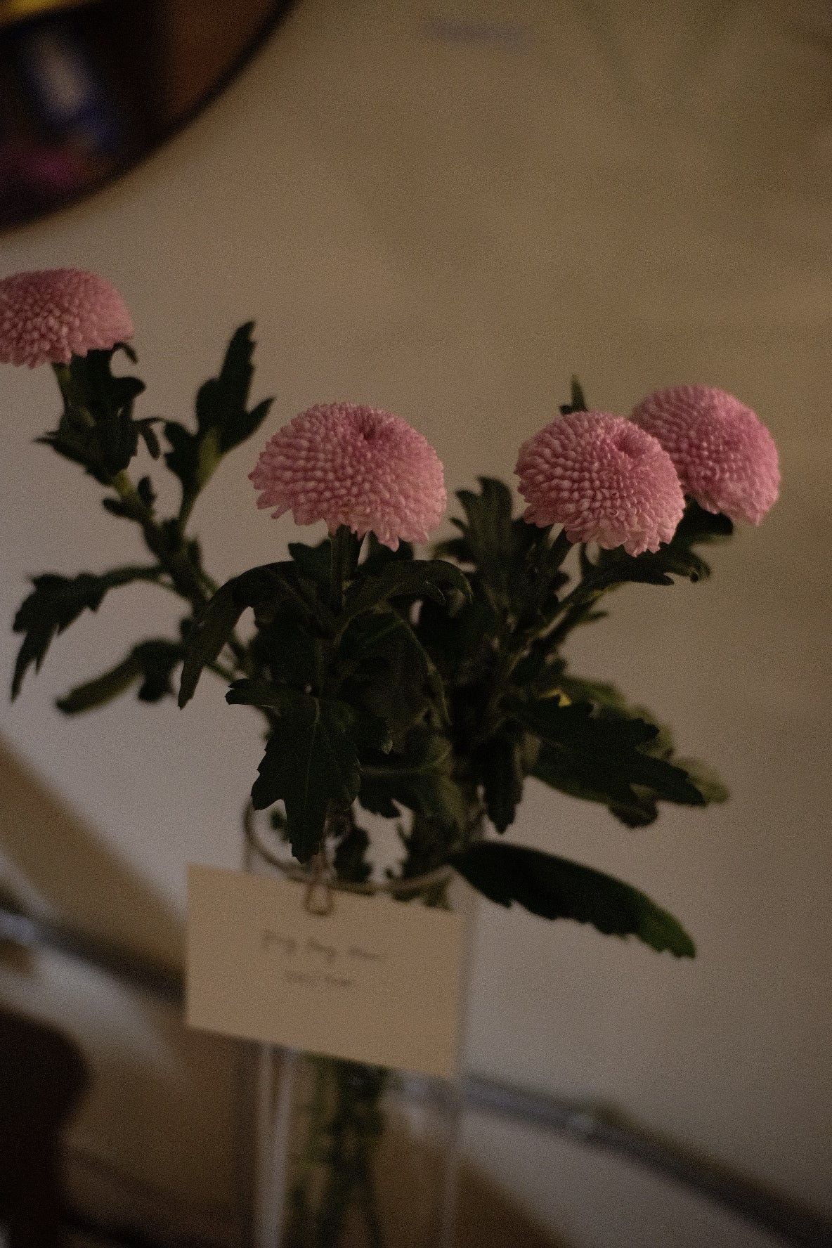 Ping Pong Mums