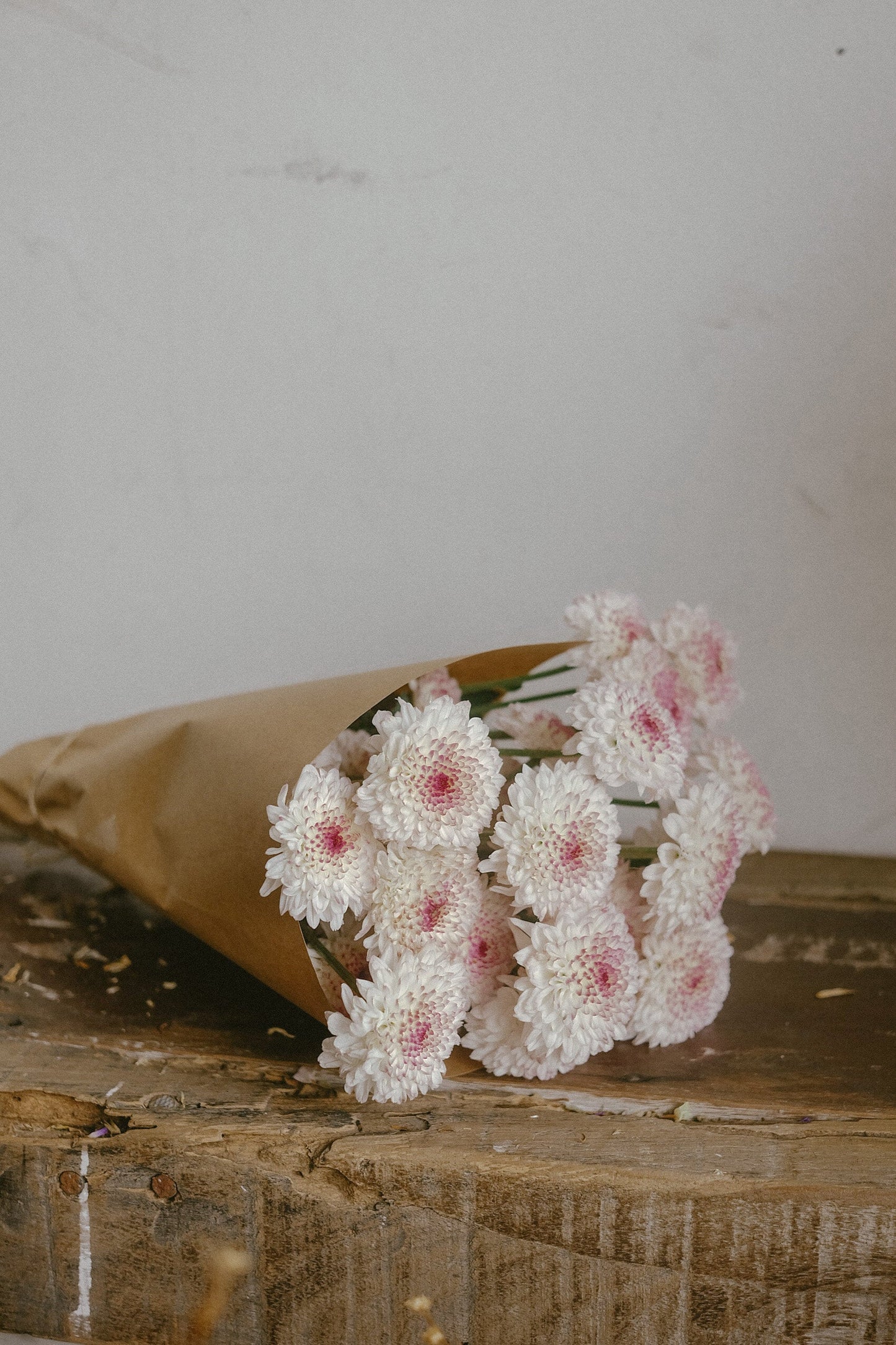 Button mums