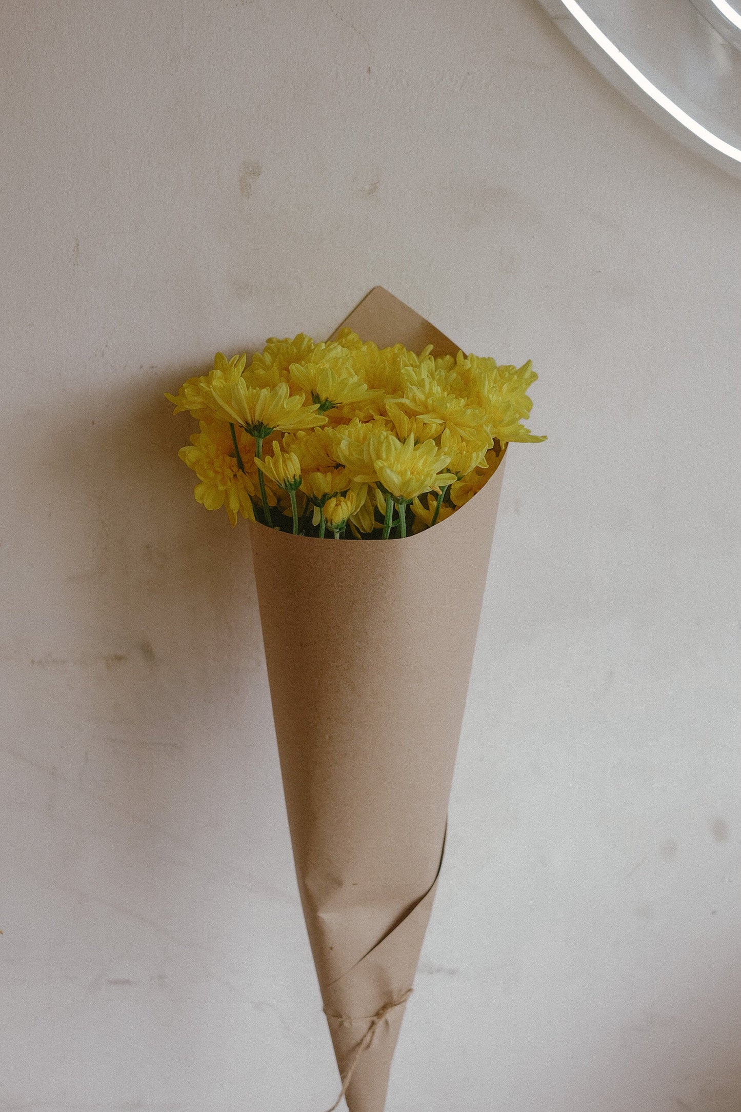 Mums (fresh)