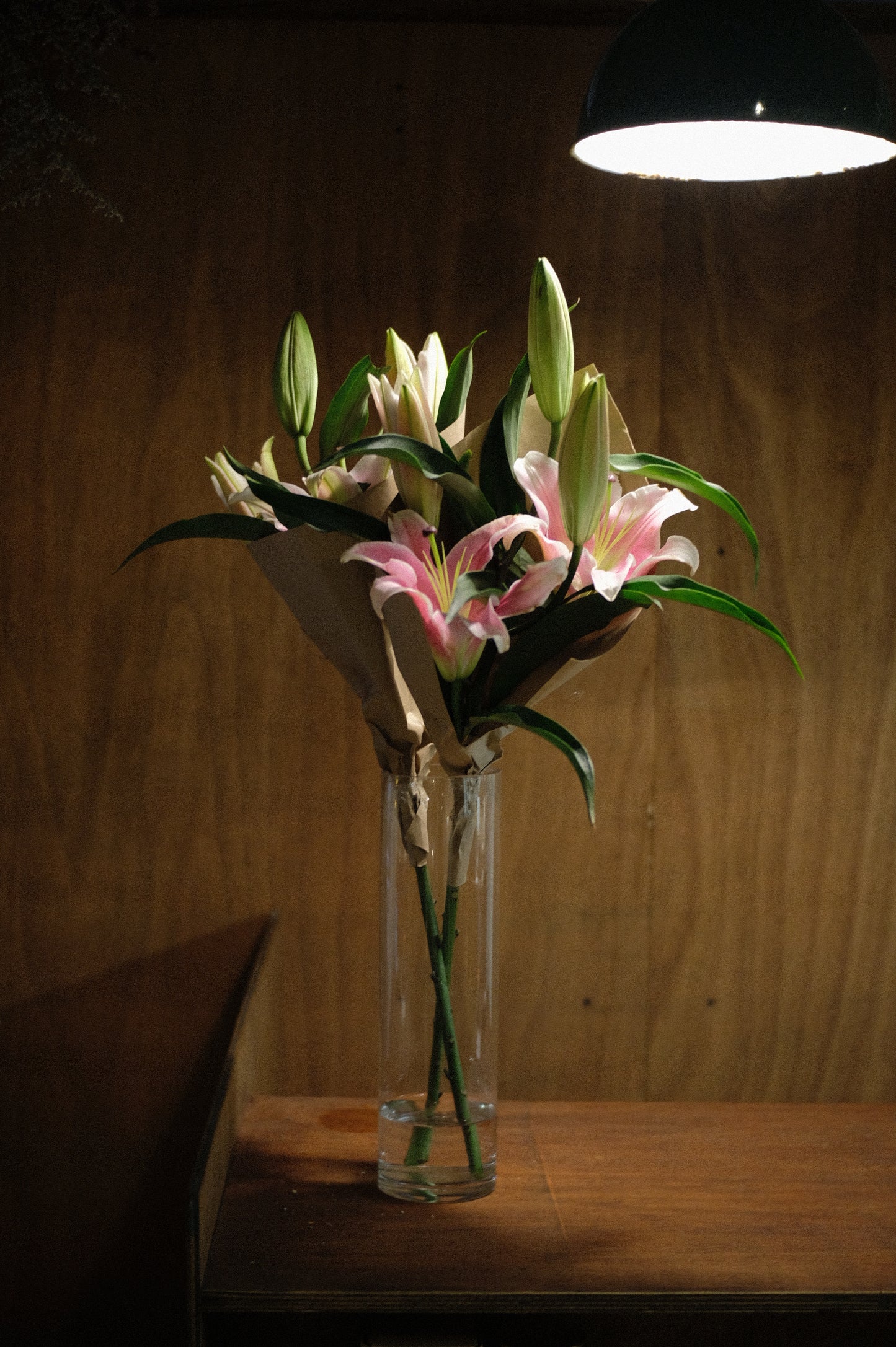 Lily