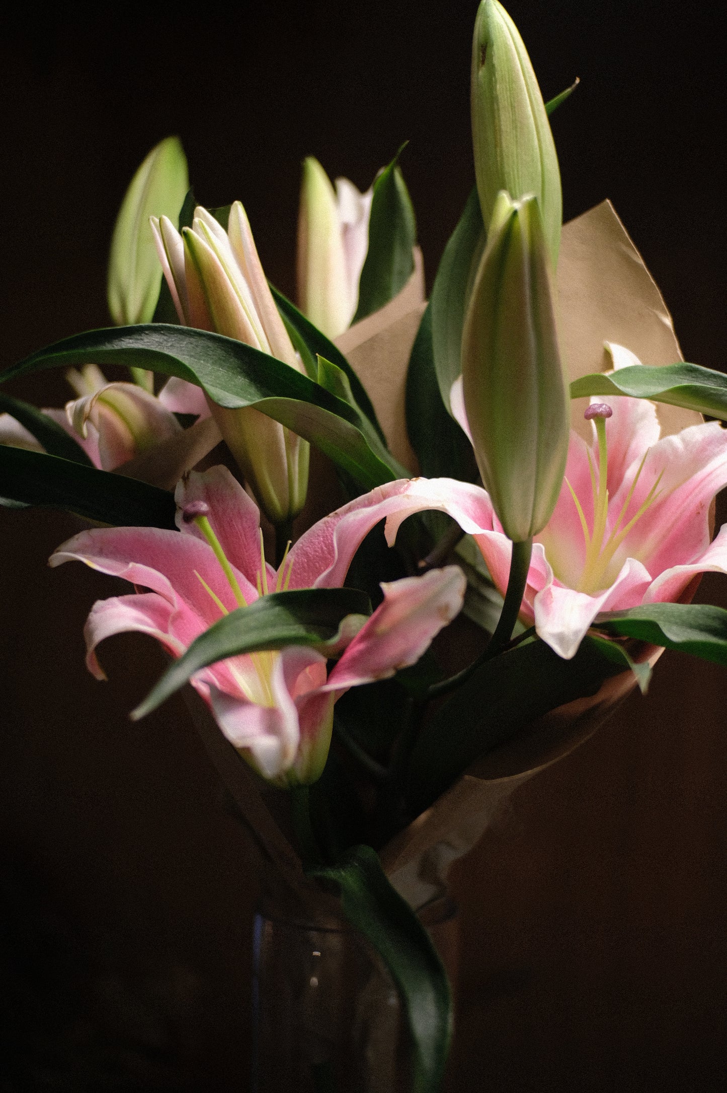 Lily