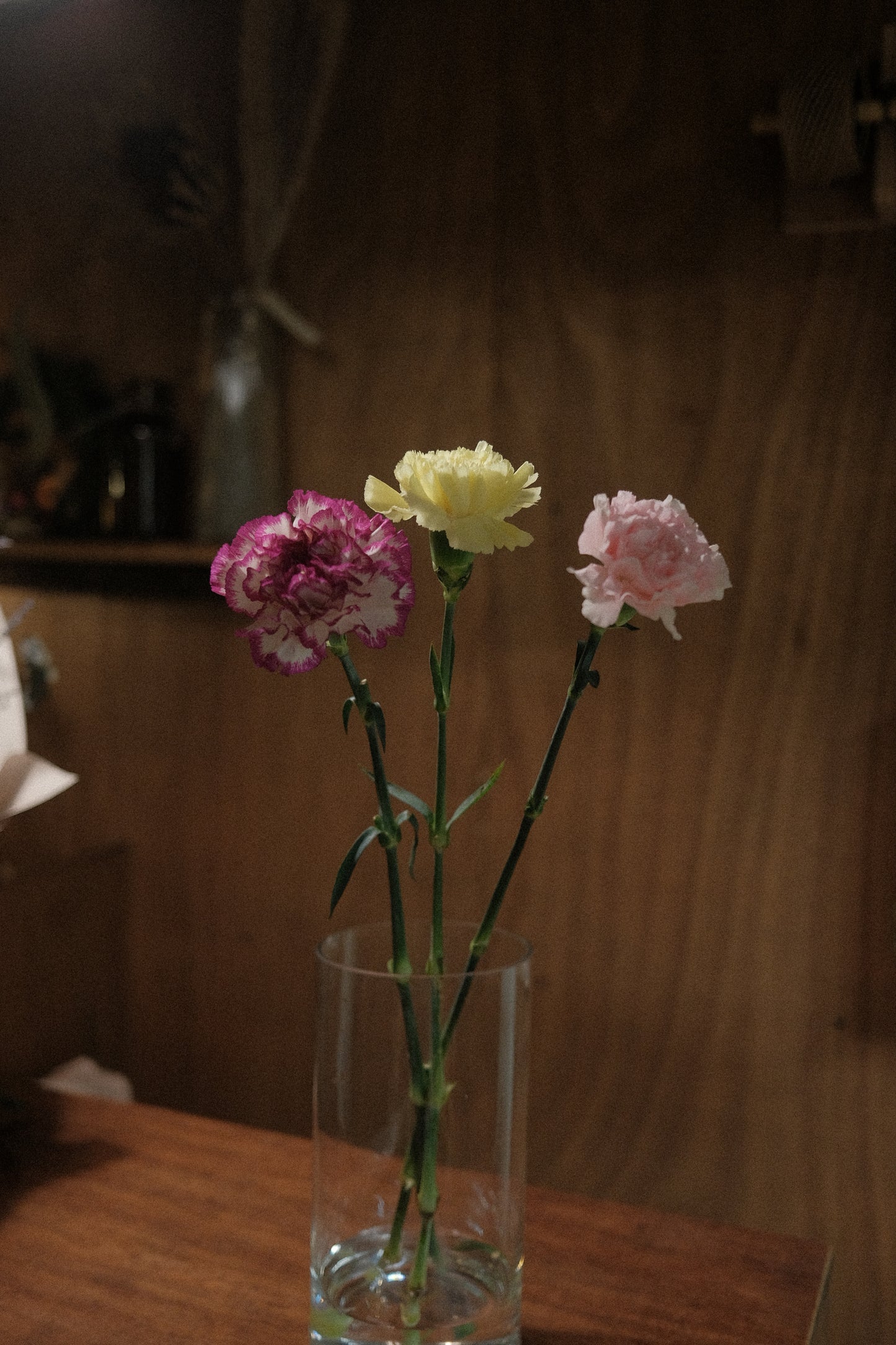 Carnations