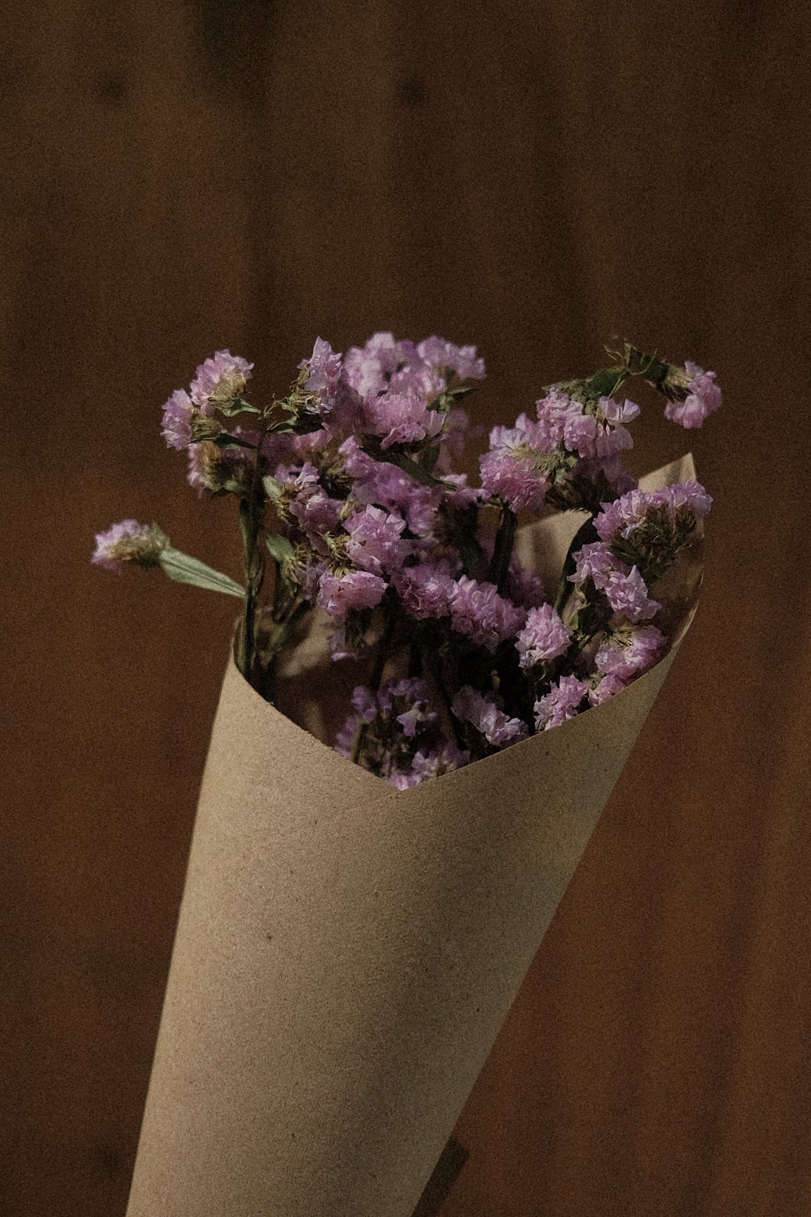 Statice (dried)