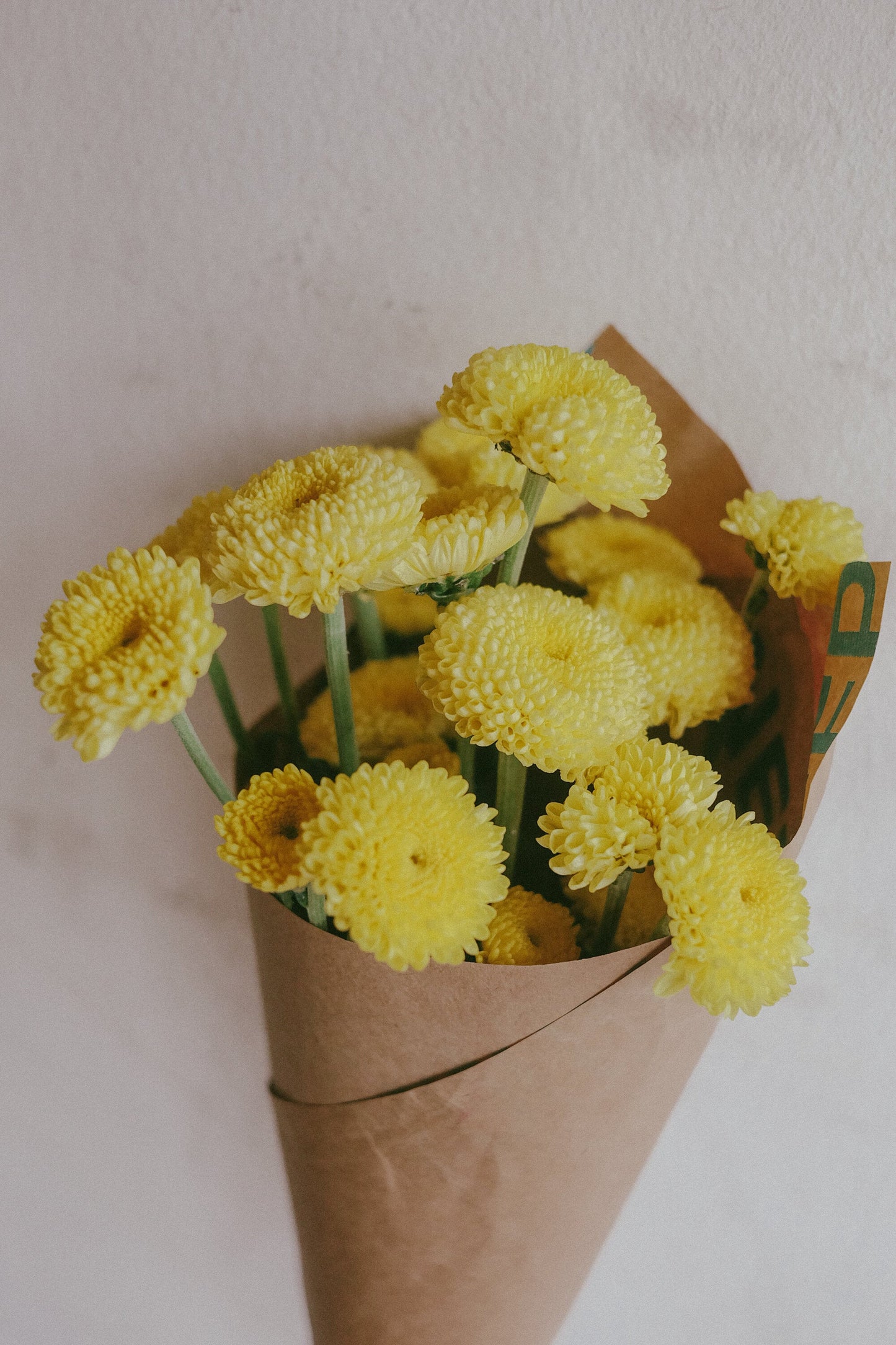 Button mums