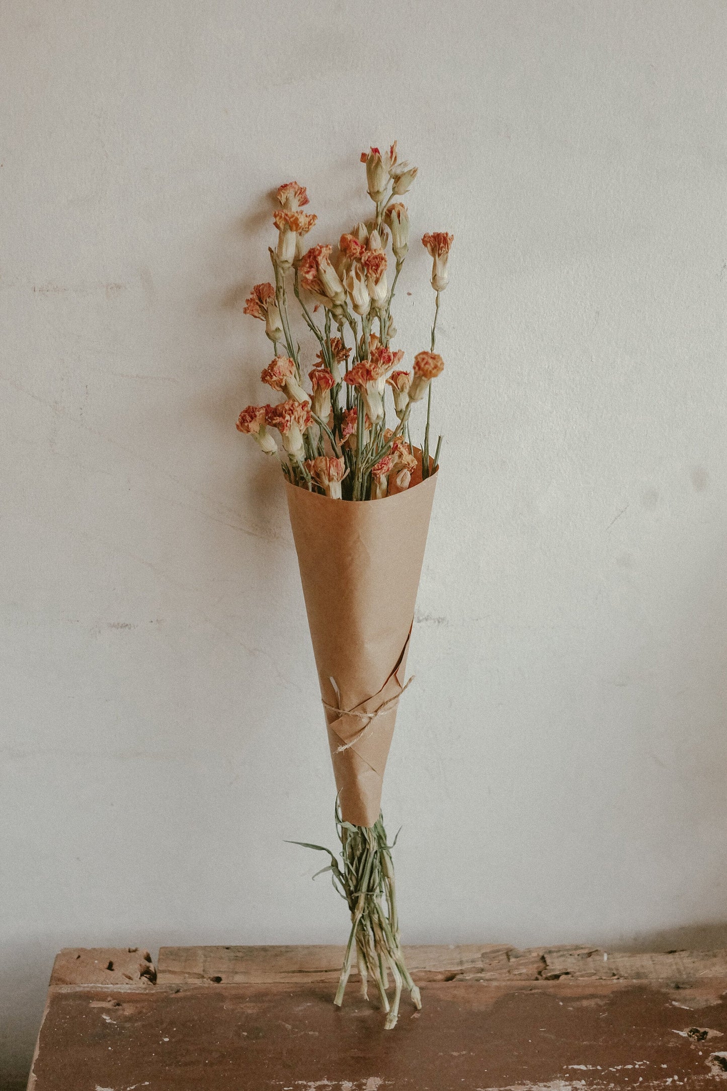 Carnations (Dried)