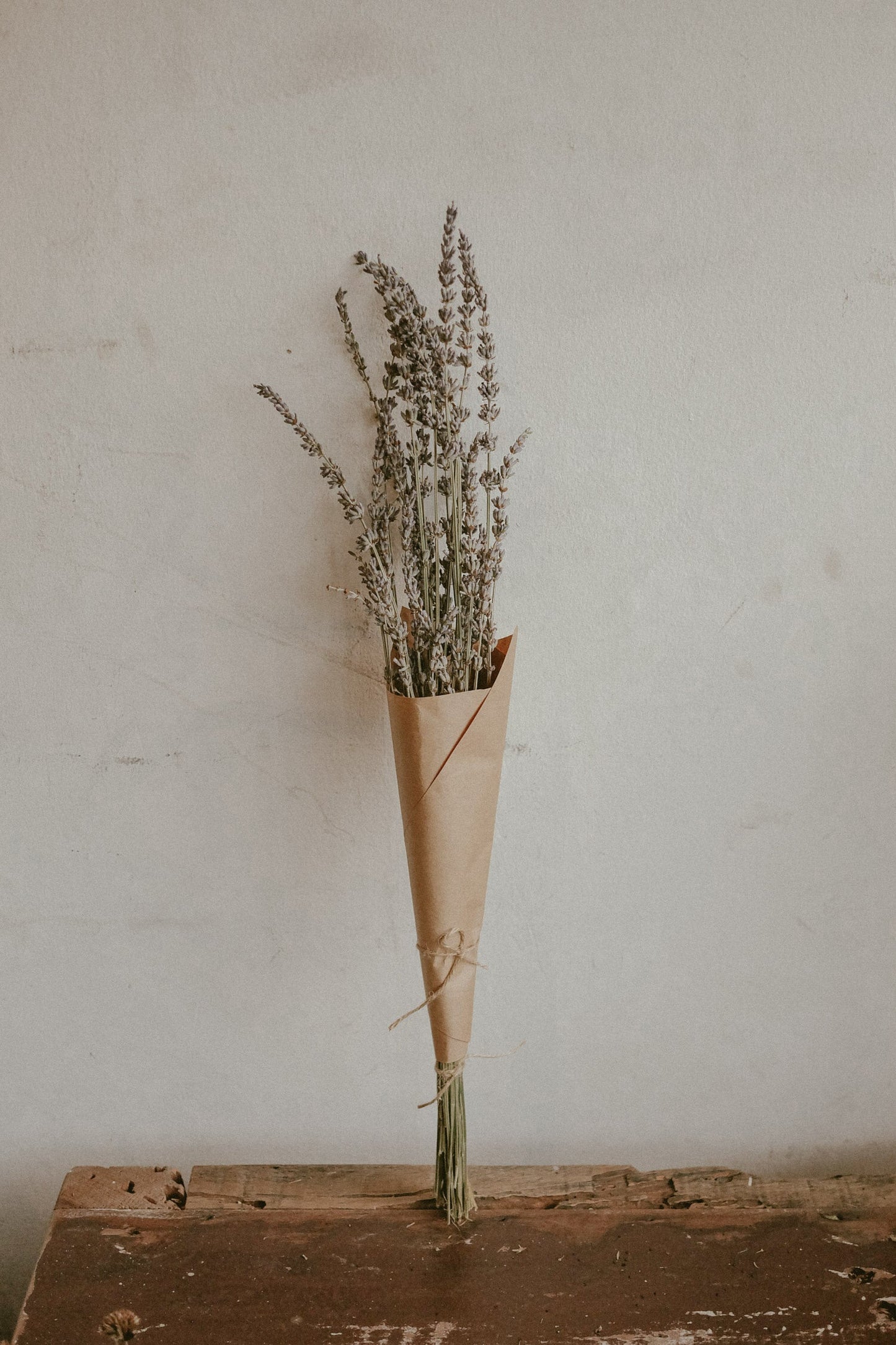 Dried Lavender
