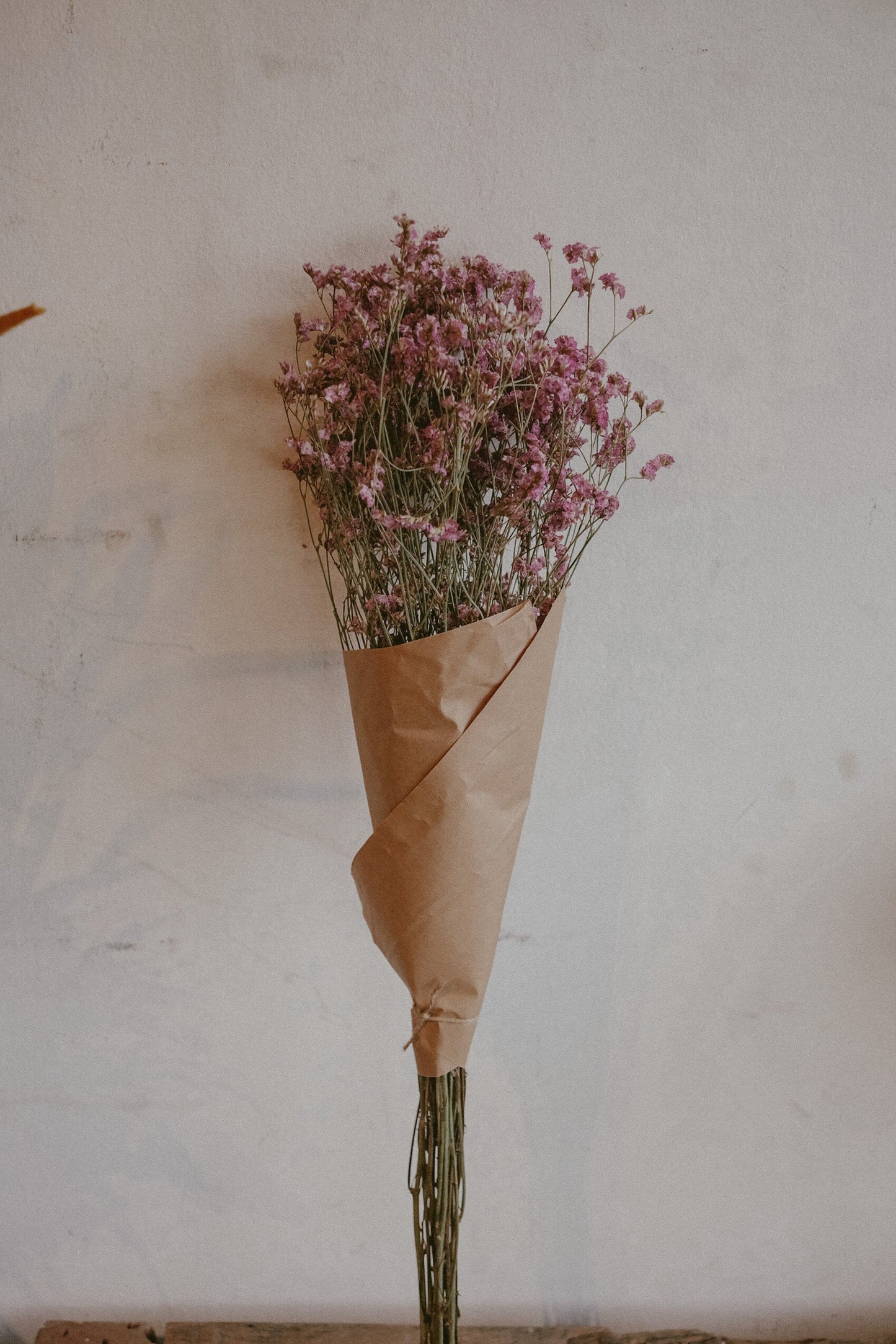 Dried Misty Pink
