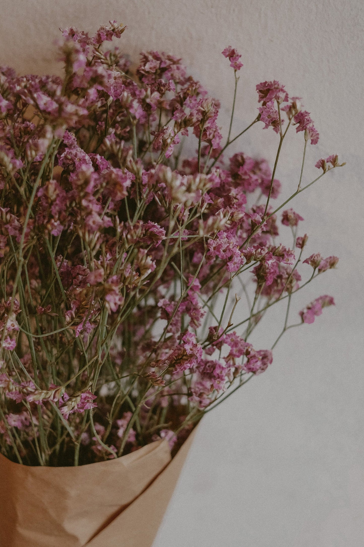 Dried Misty Pink
