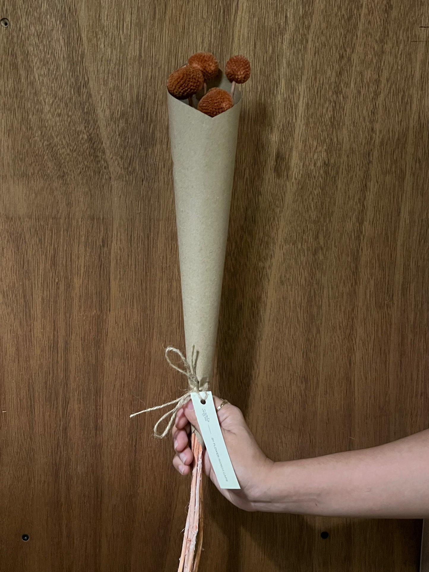 Craspedia (dried)