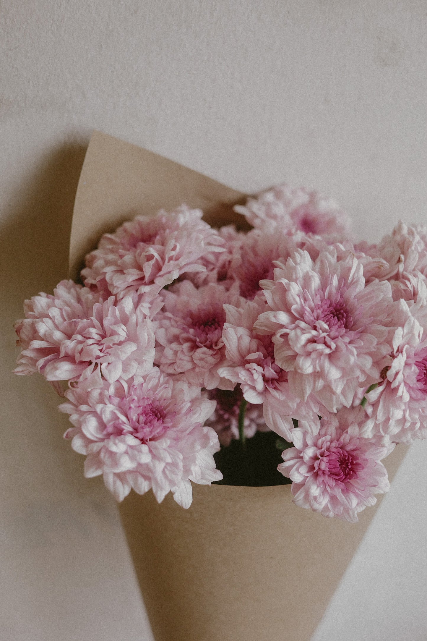 Mums (fresh)