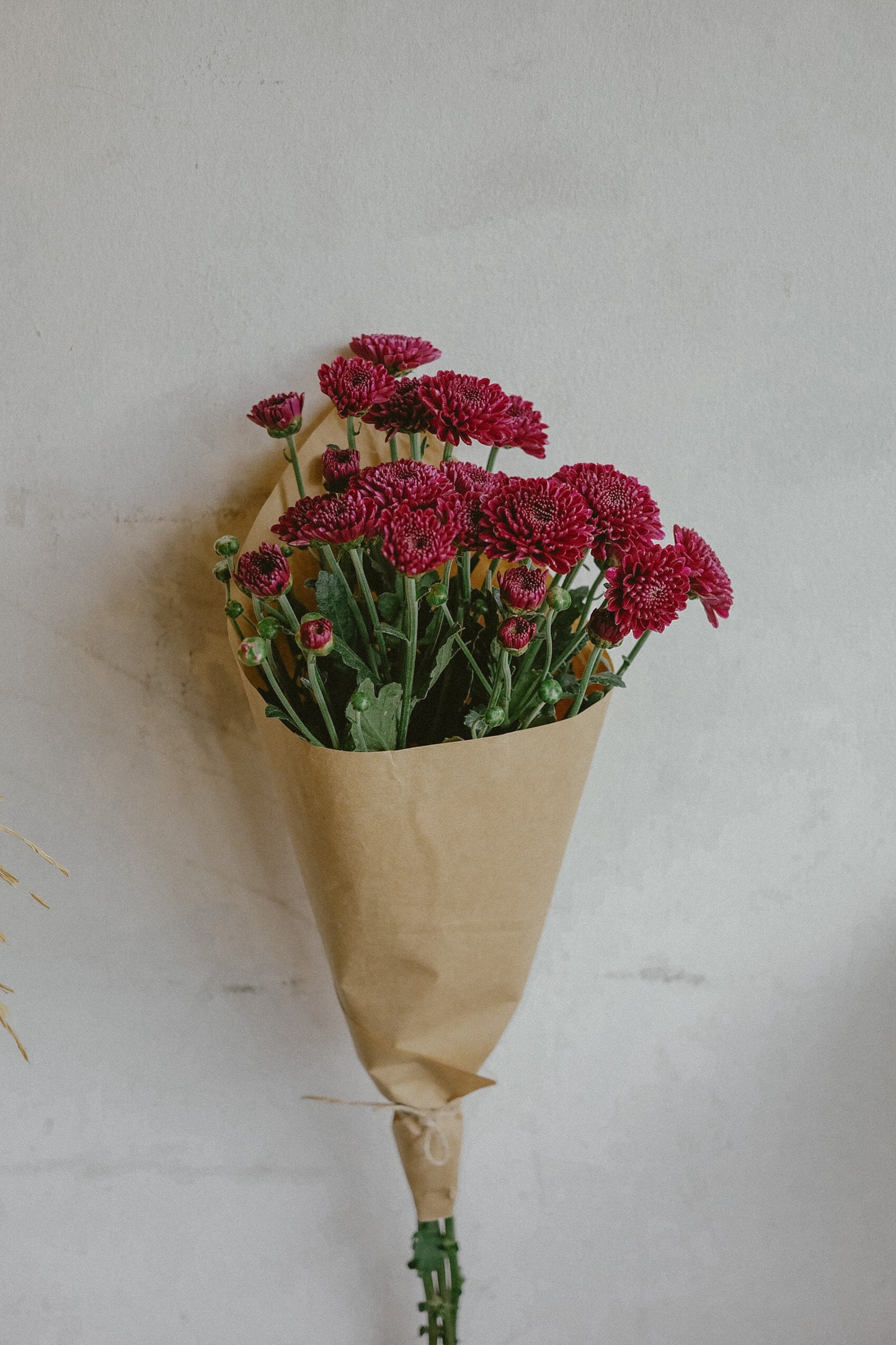 Mums (fresh)