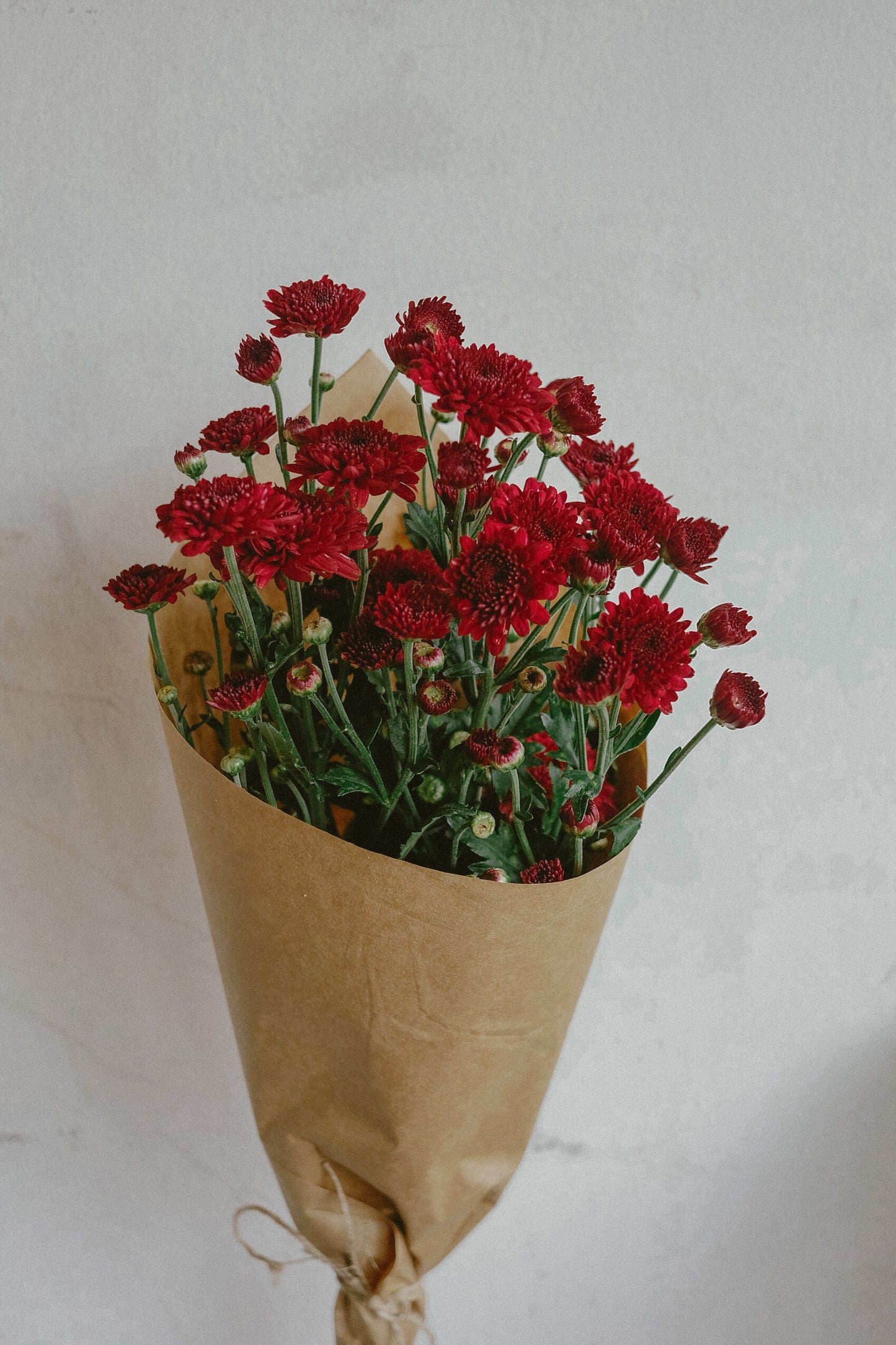 Mums (fresh)