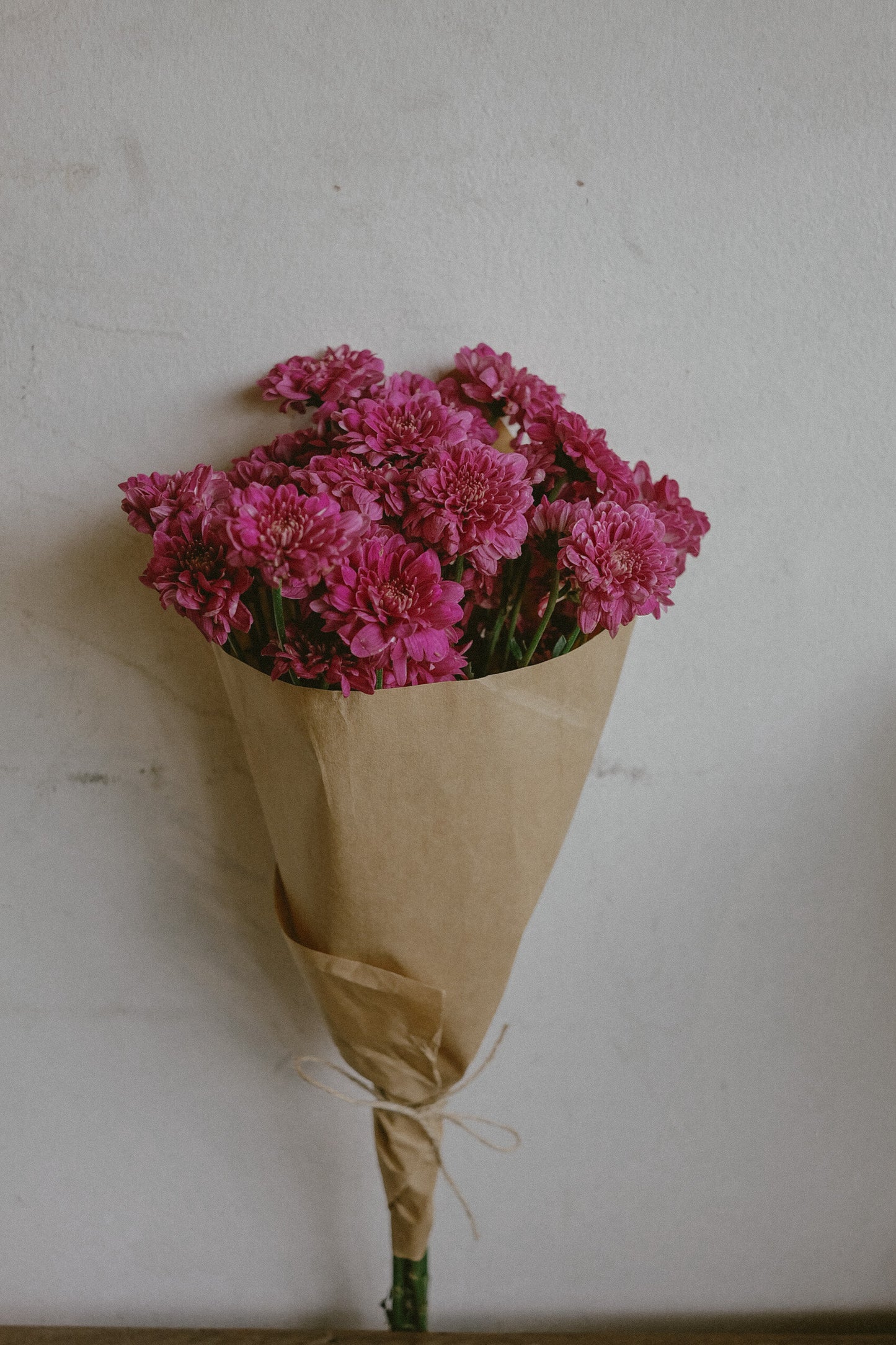 Mums (fresh)