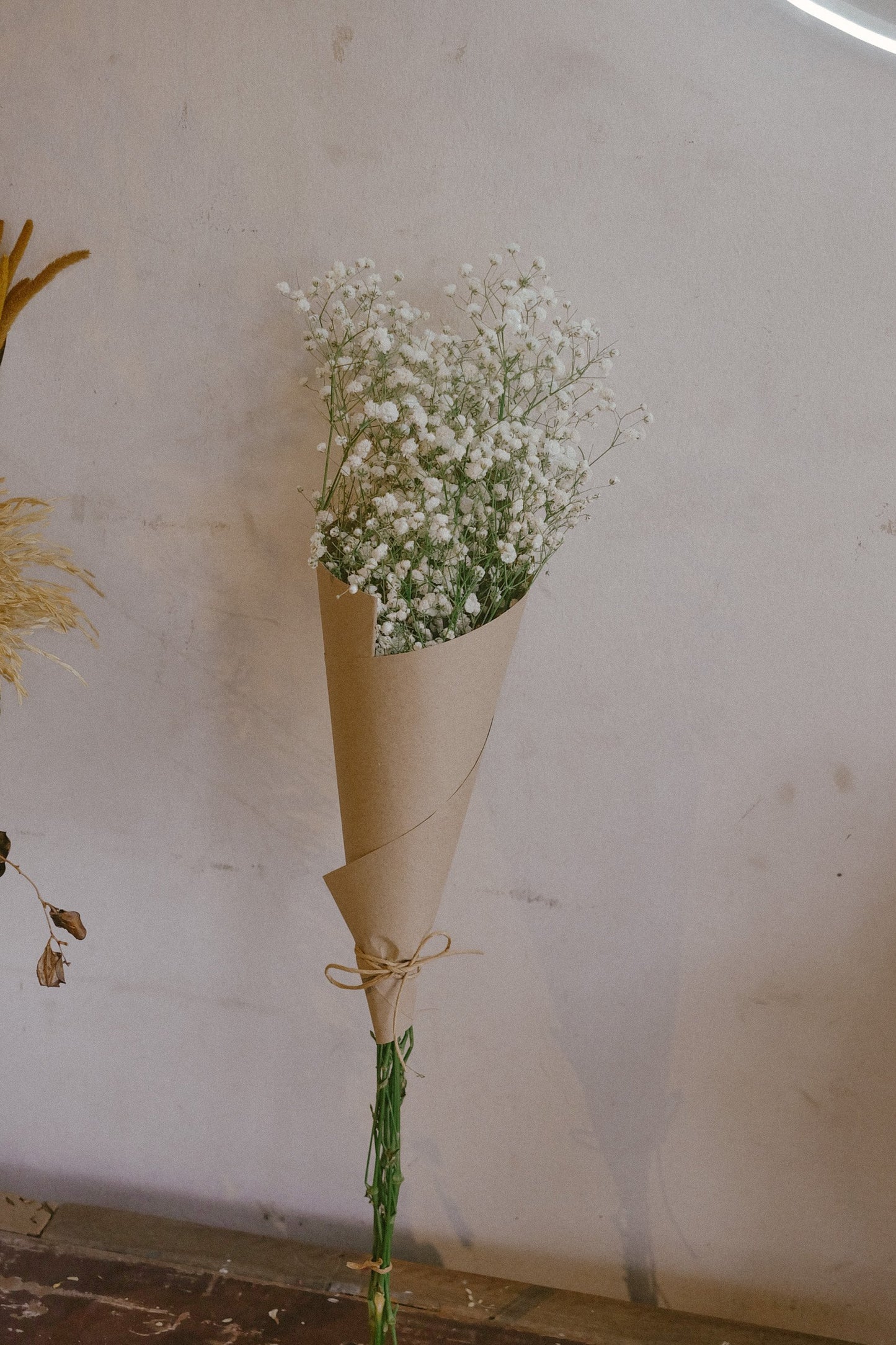 Gypsophila (fresh)