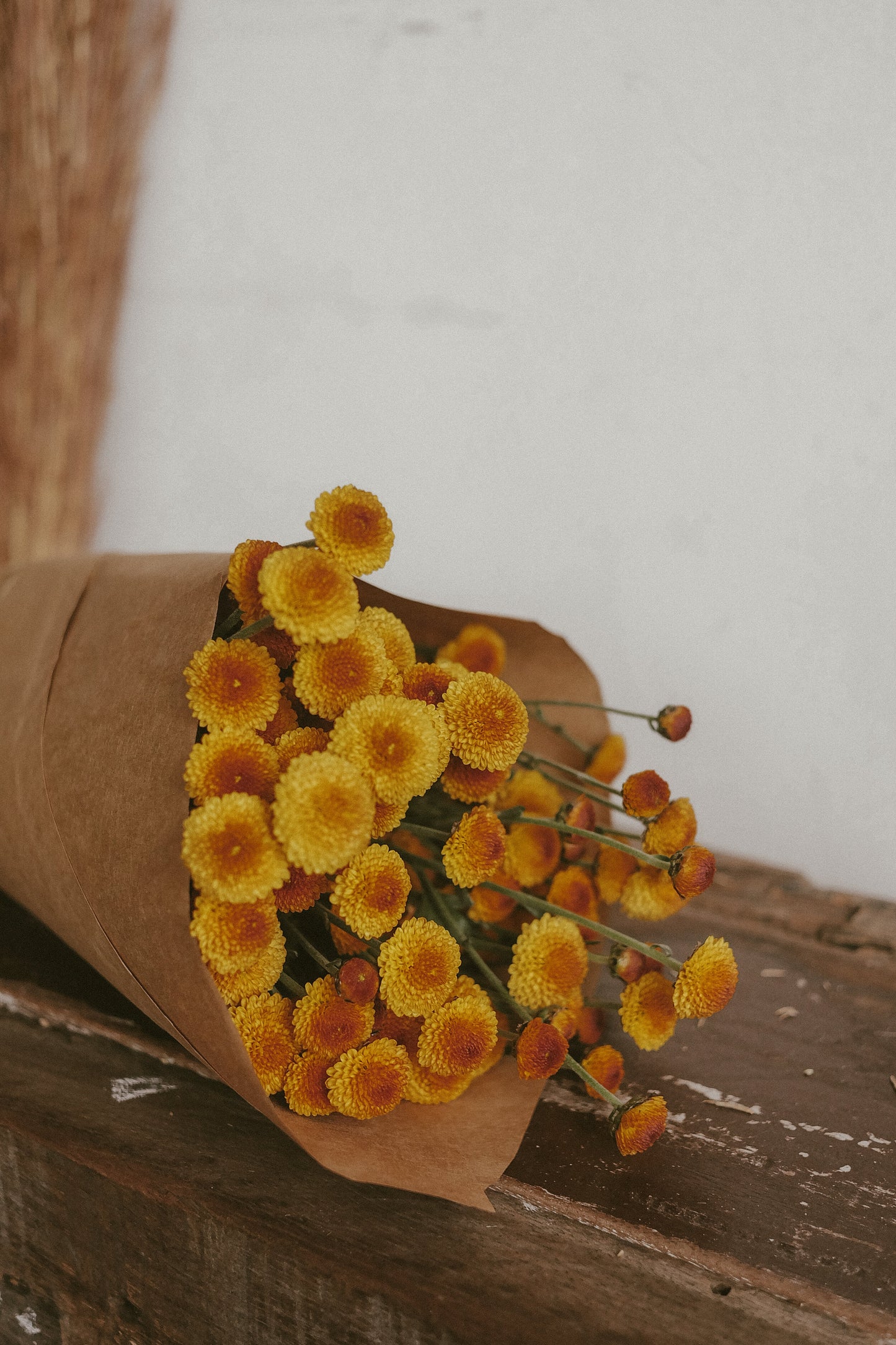 Button mums