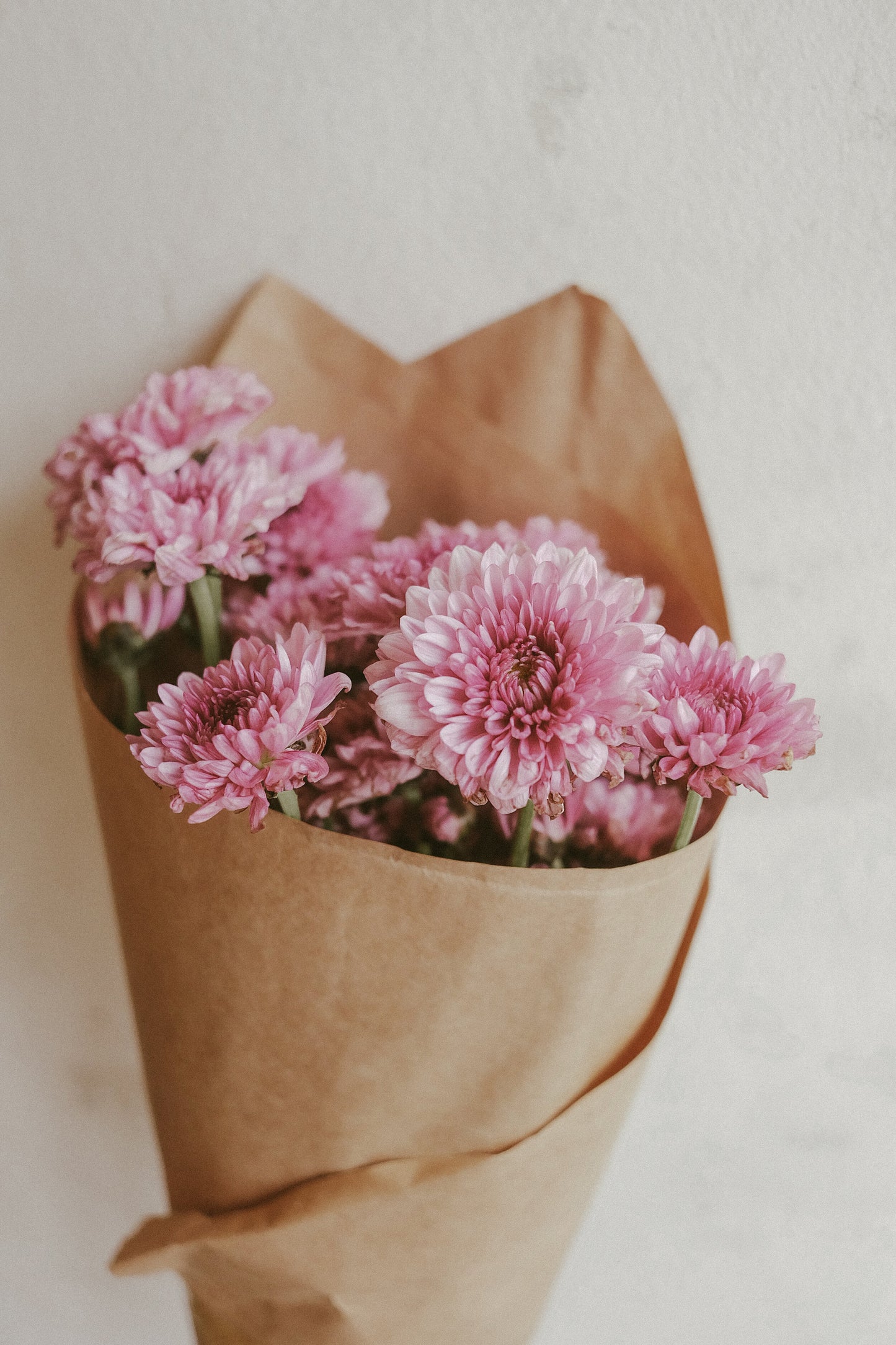 Mums (fresh)