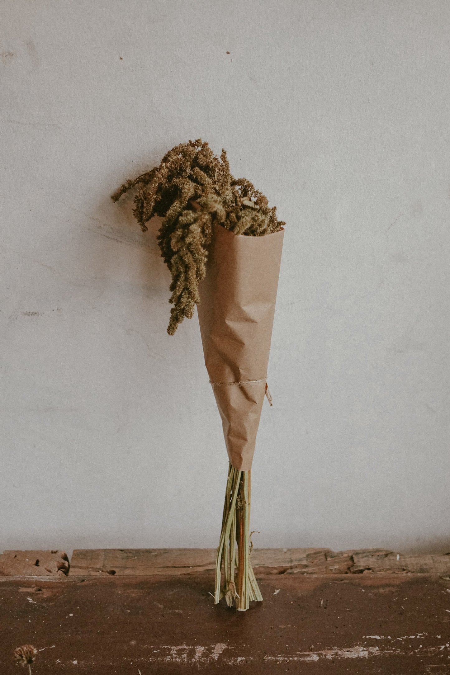 Amaranthus (dried)