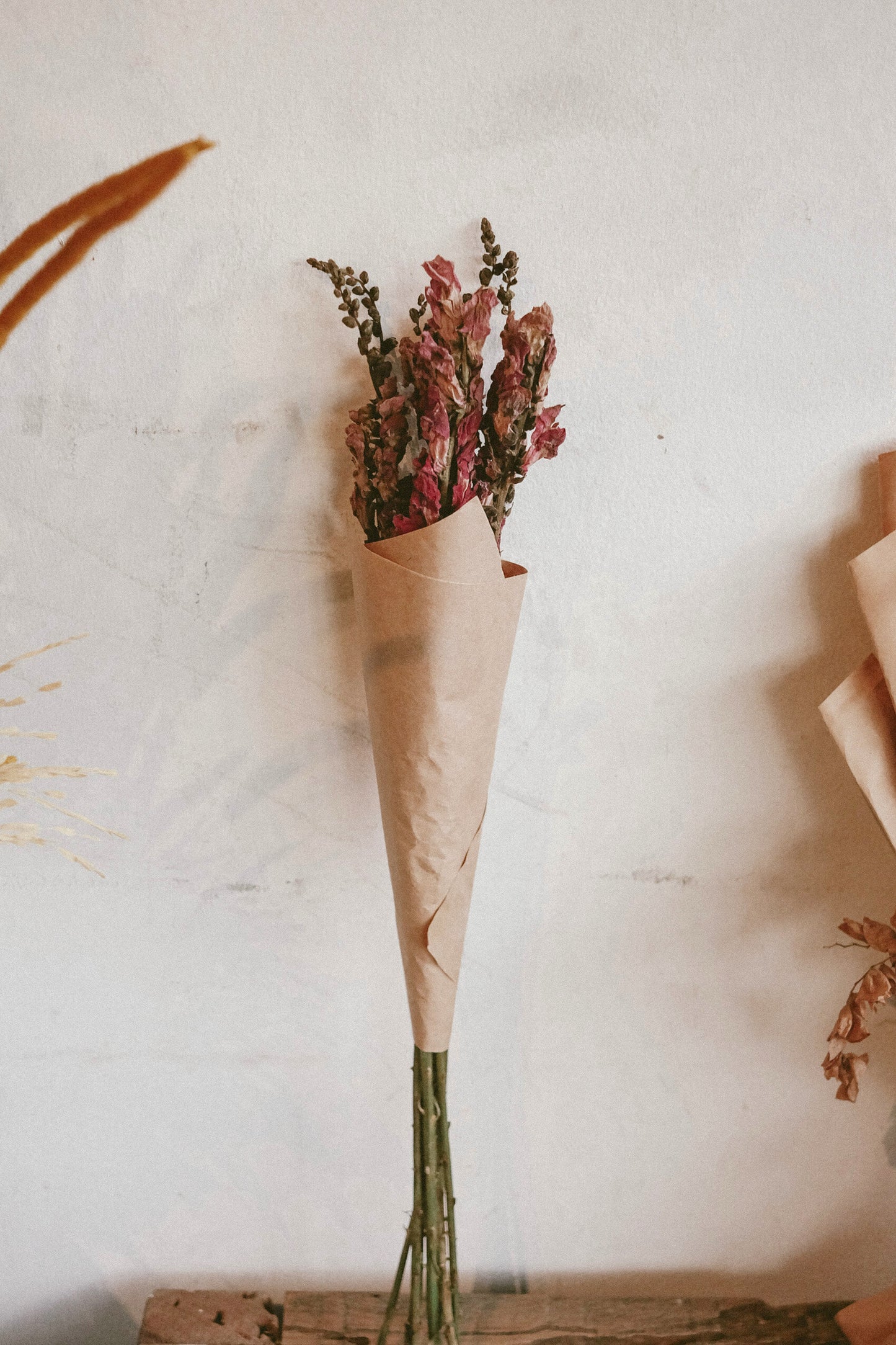 Snapdragon (dried)