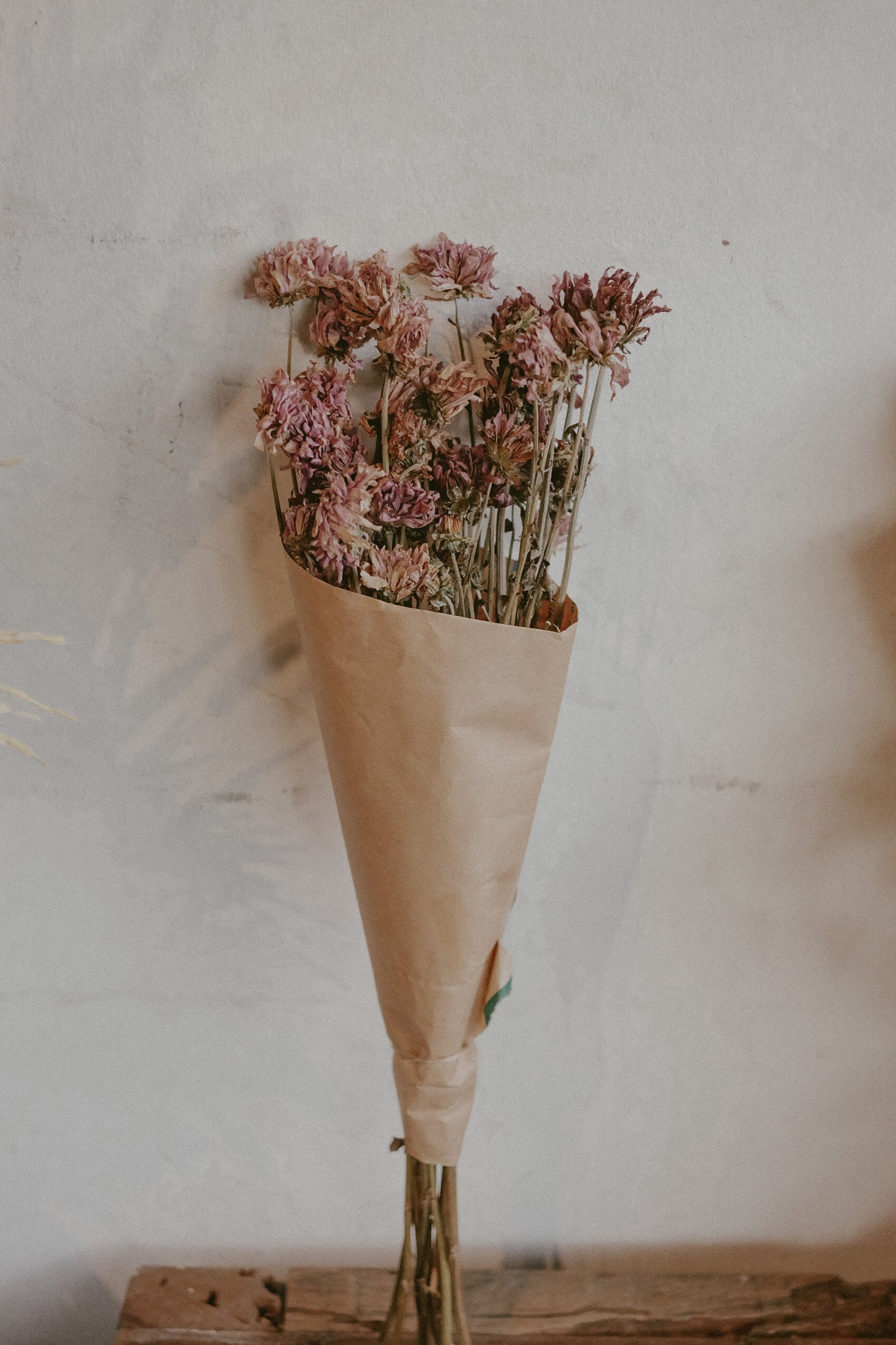 Mums (dried)