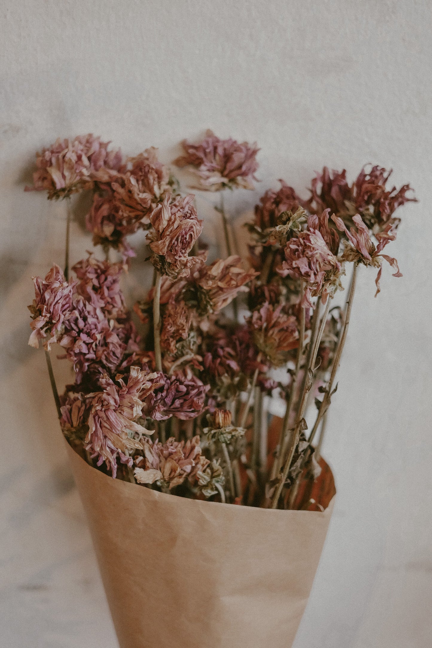 Mums (dried)