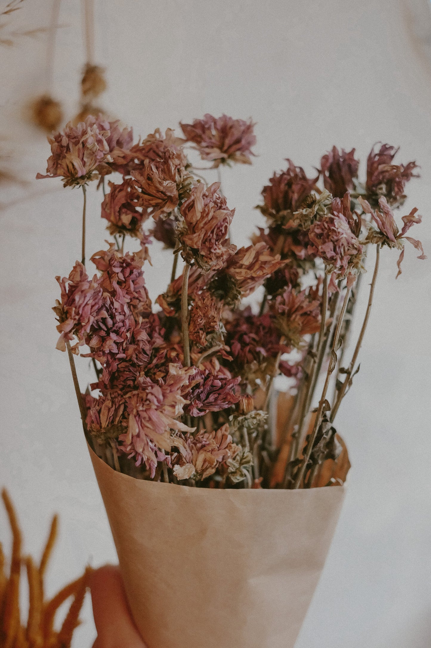 Mums (dried)