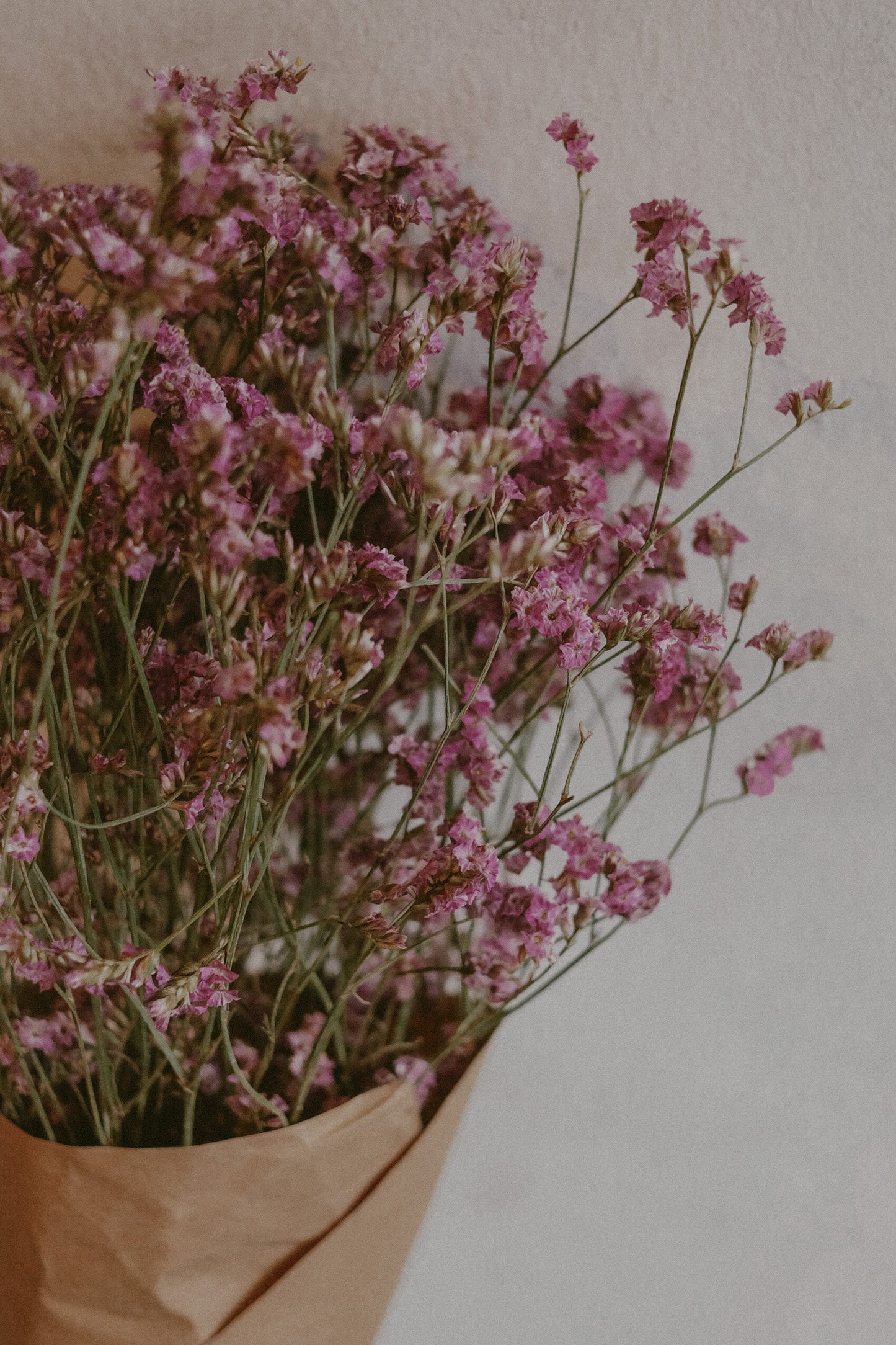 Dried Misty Pink