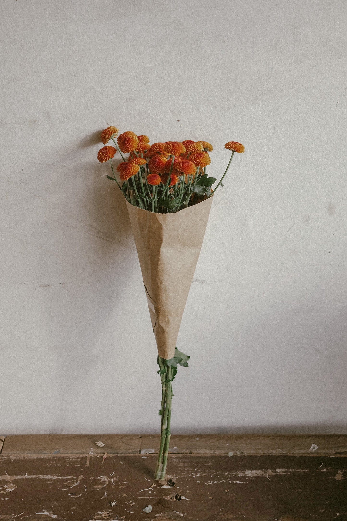 Button mums
