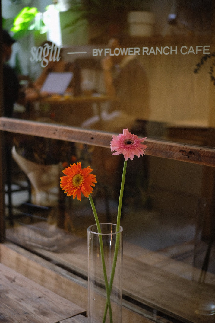 Gerbera – Flower Ranch Cafe