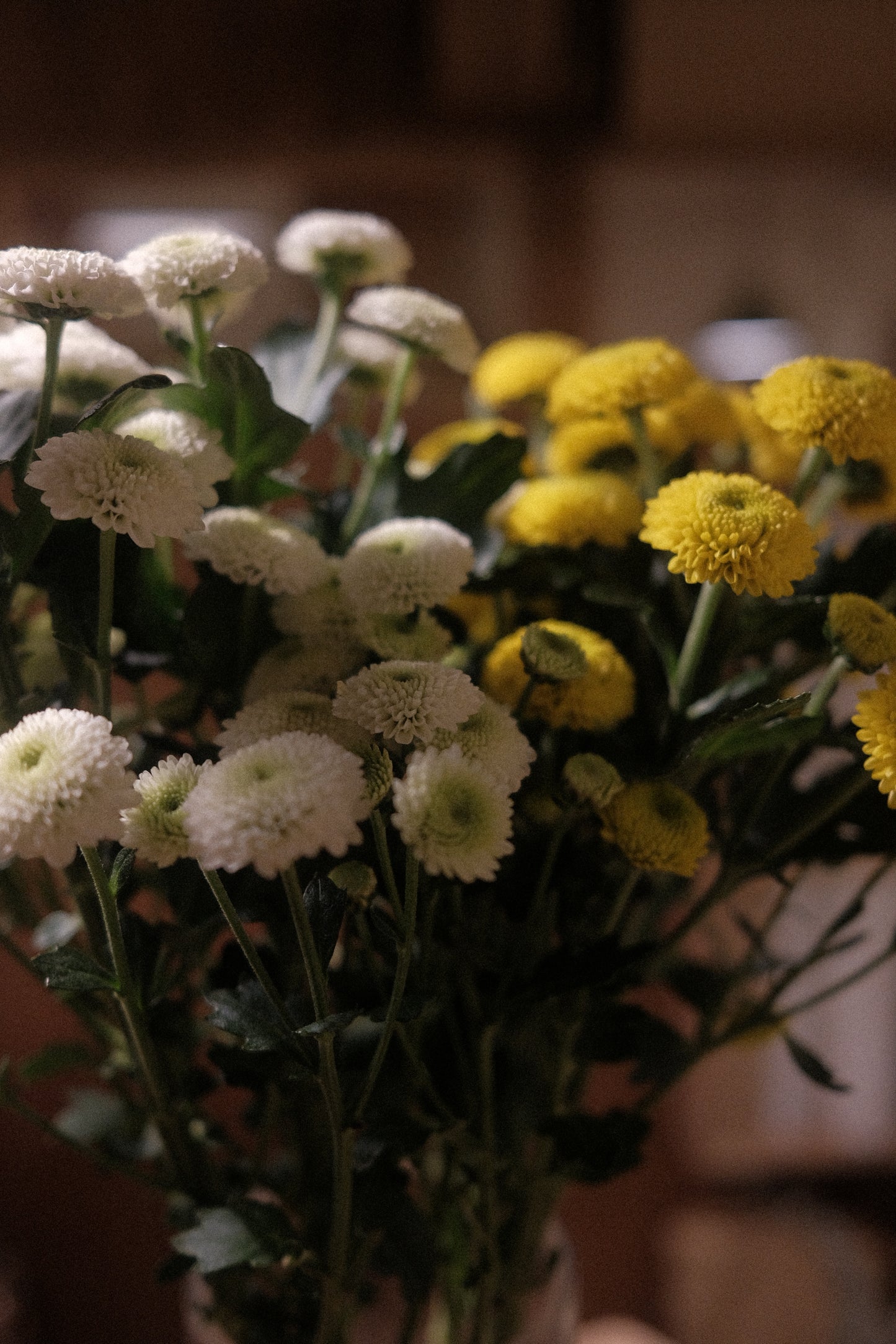 Button mums