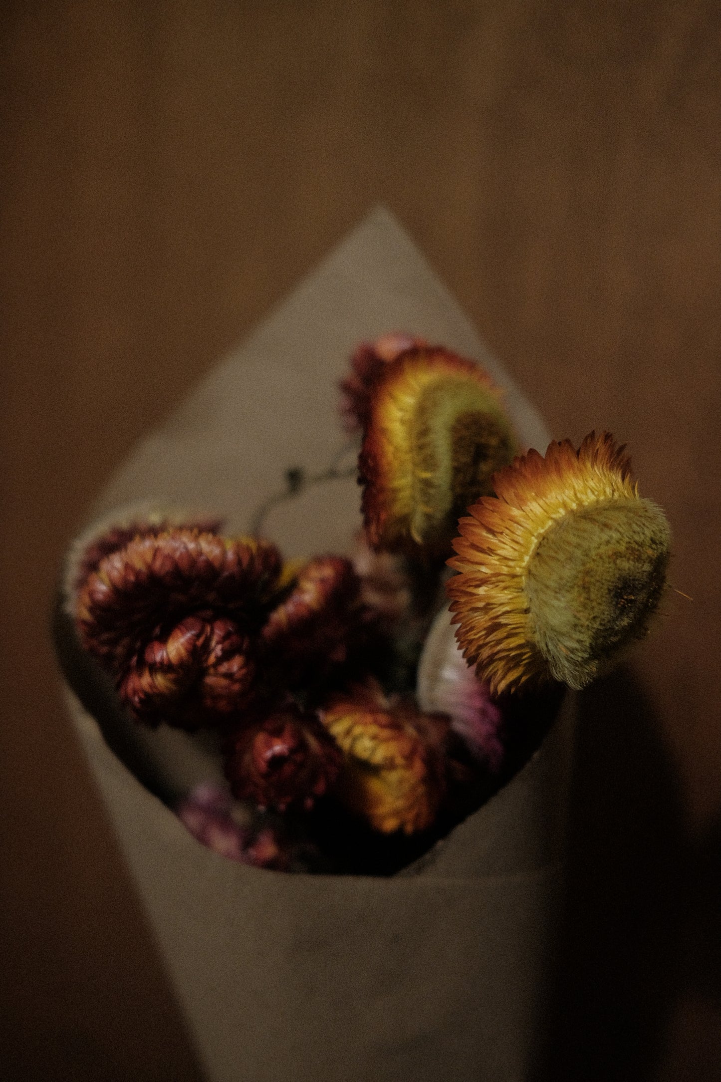 Everlasting (Dried)