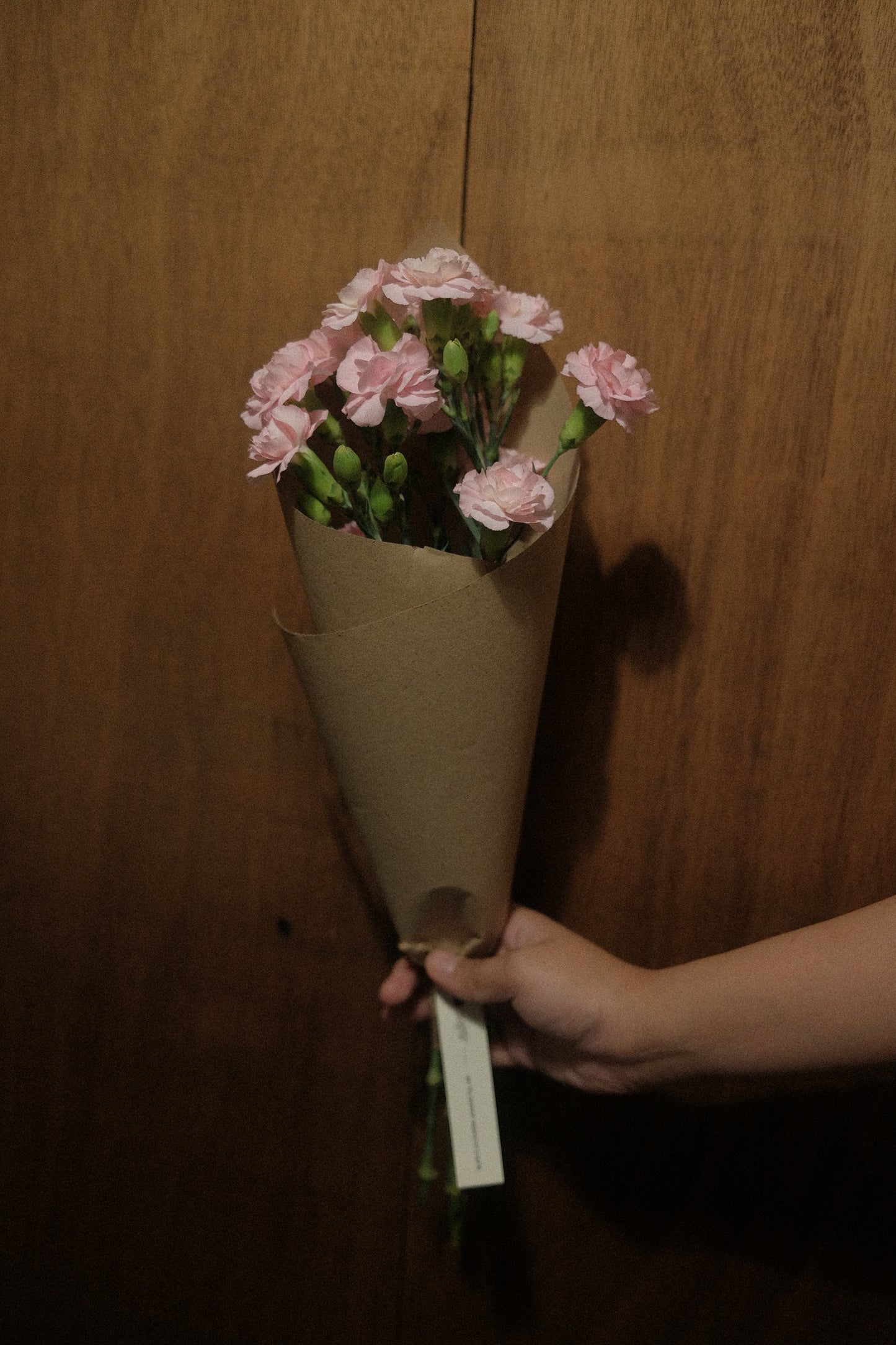 Carnation Clusters