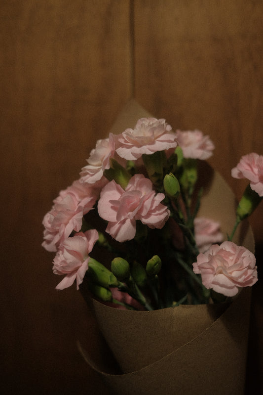 Carnation Clusters