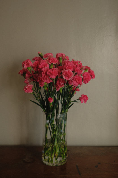 Carnation Clusters