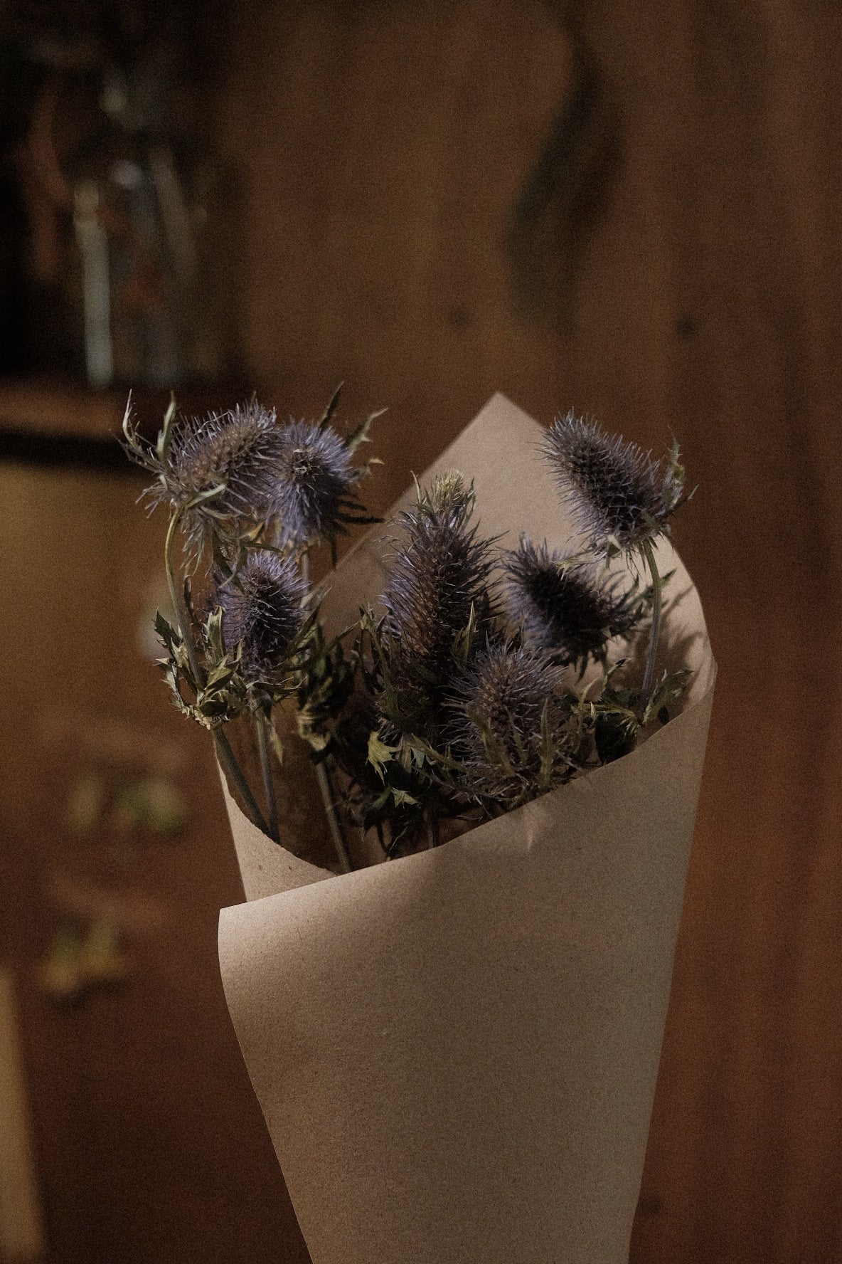 Dried Eryngium