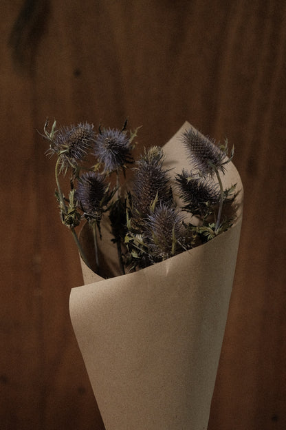 Dried Eryngium