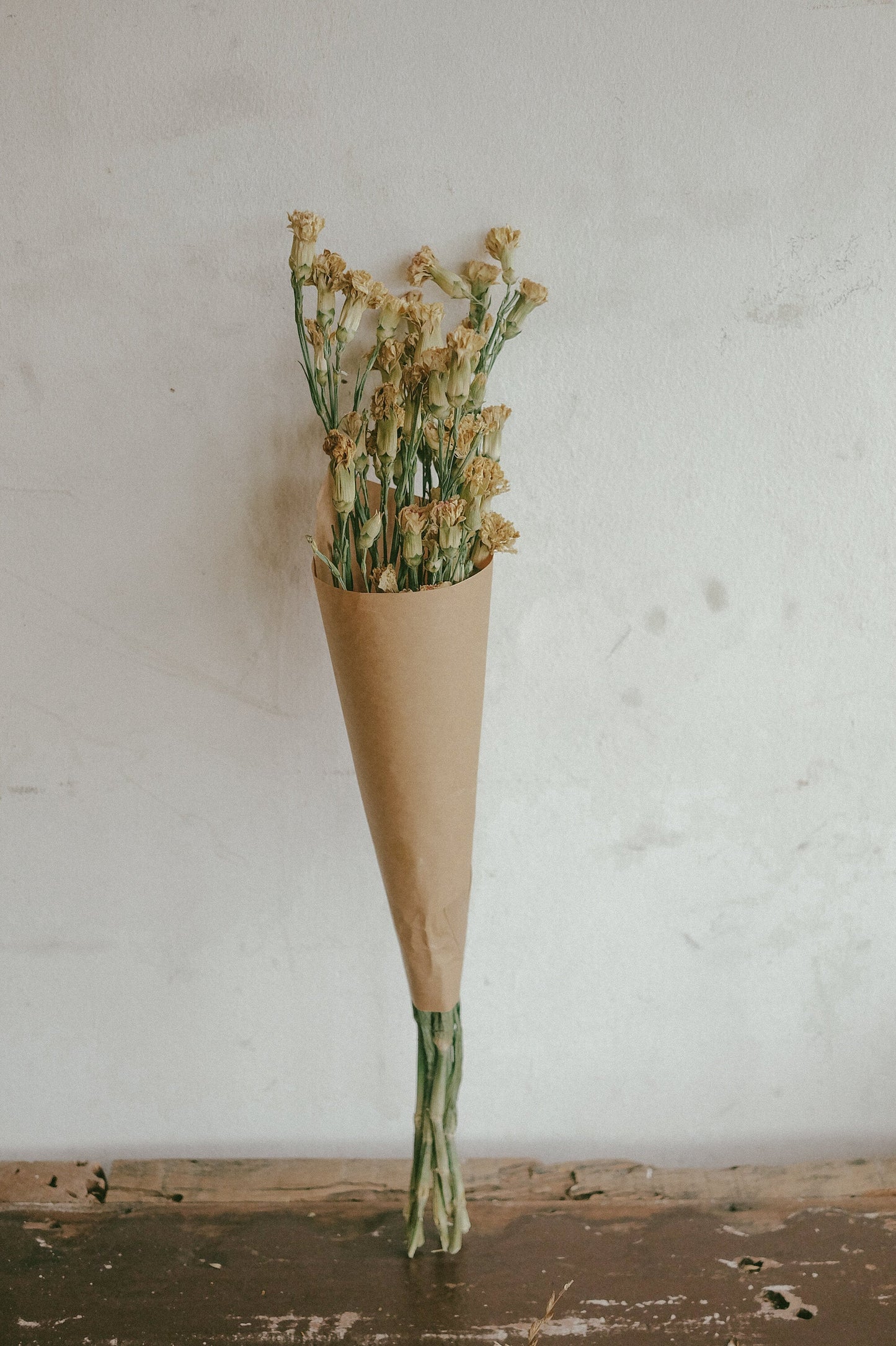 Carnations (Dried)