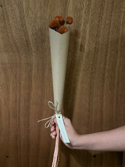 Craspedia (dried)