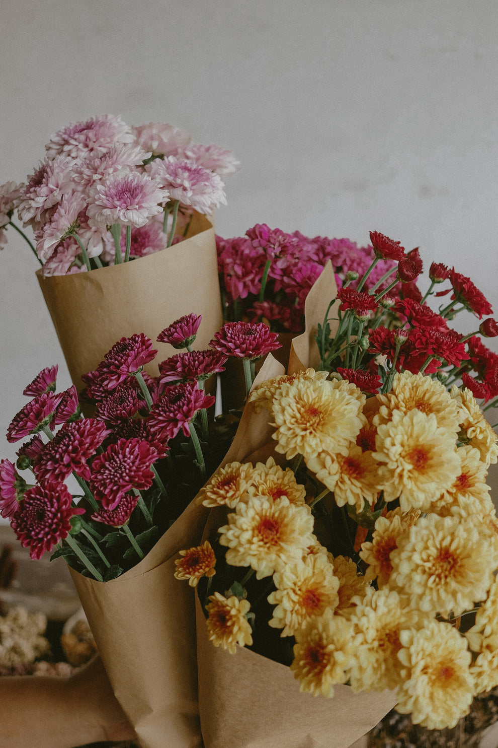 Mums (fresh) – Flower Ranch Cafe